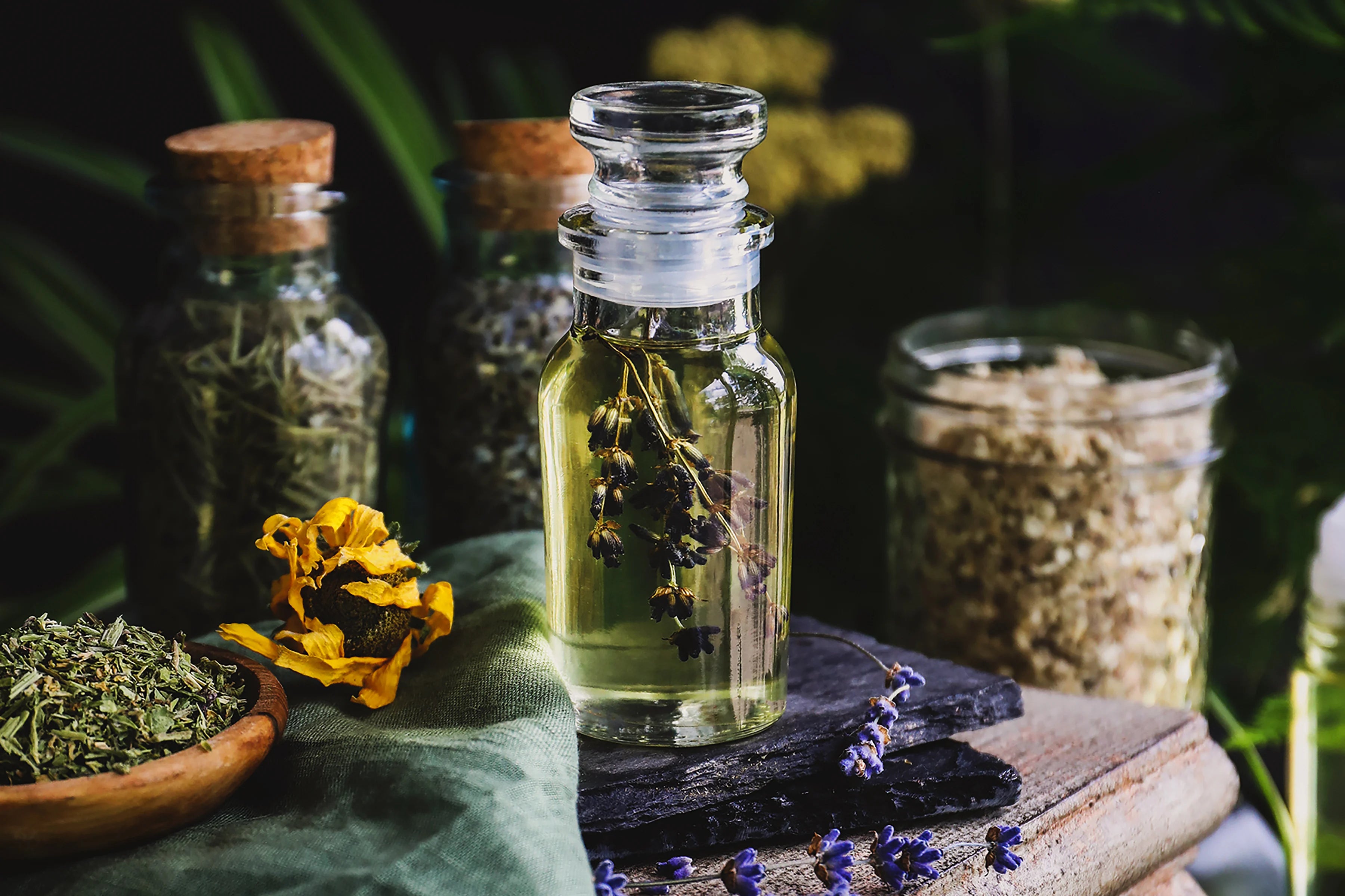 8 Best Herbal for Natural Skin Care