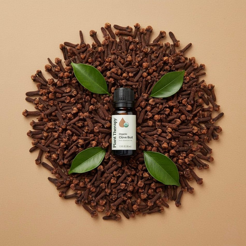 Organic Clove Bud Essential Oil
