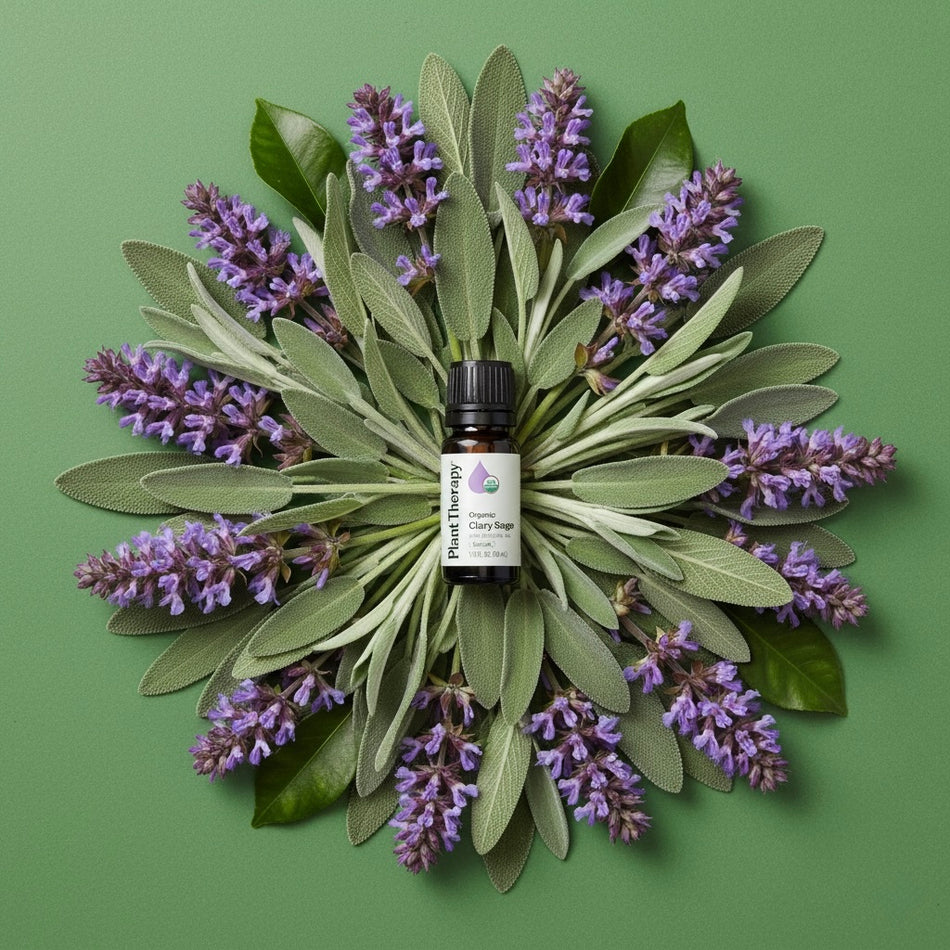 Organic Clary Sage Essential Oil
