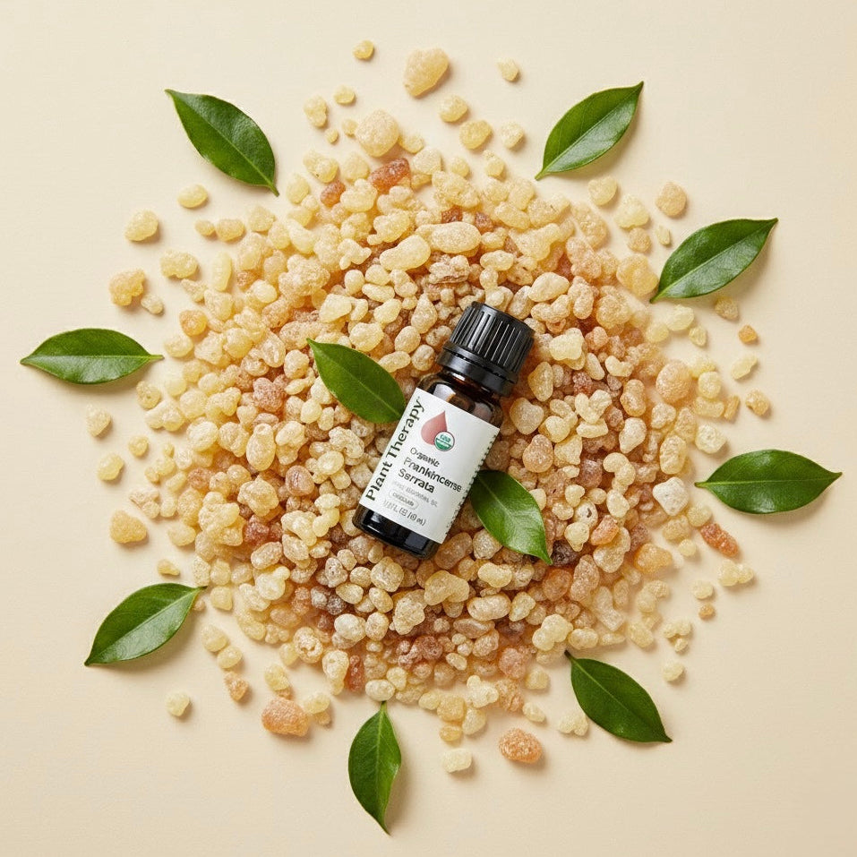 Bottle of essential oil surrounded by resin and leaves on a beige background
