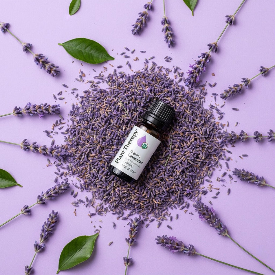Lavender essential oil bottle surrounded by lavender flowers on a purple background