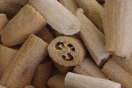 natural loofah