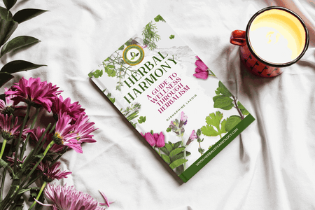 Ebook cover of "Herbal Harmony: A Guide to Wellness Through Herbalism" with floral design next to flowers and a cup of tea.