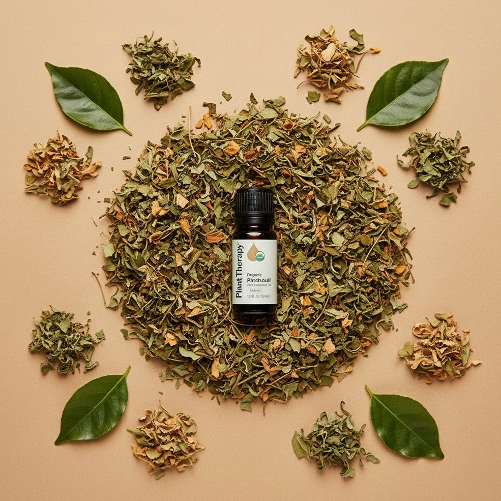 Essential oil bottle surrounded by dried herbs and leaves on a beige background