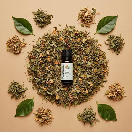 Essential oil bottle surrounded by dried herbs and leaves on a beige background