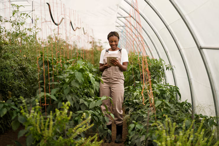 Person using a tablet in a greenhouse filled with plants